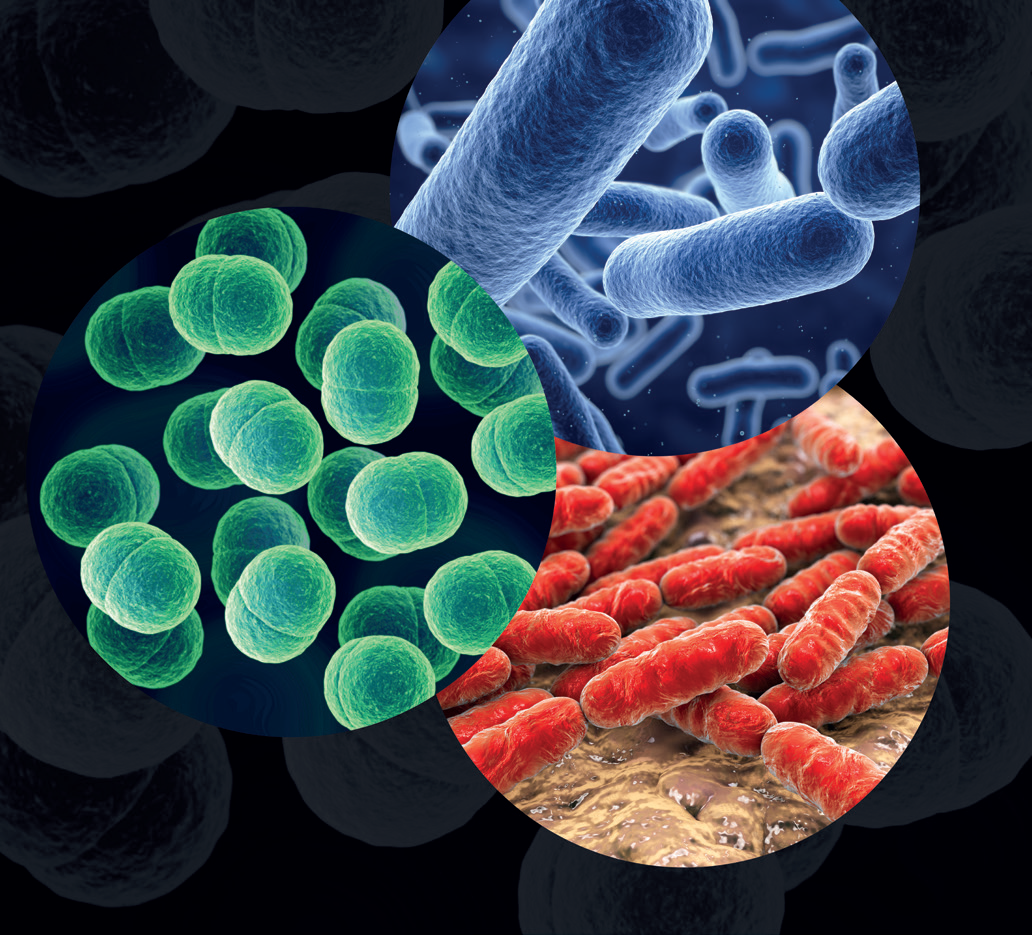 Three different kinds of viruses