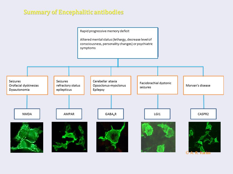 Summary of Encephalitic antibodies