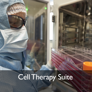 Cell Therapy Suite 2