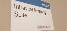 The Intravital Imaging Suite