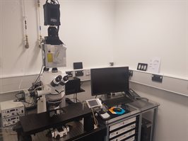 Zeiss Examiner X1 – Upright Confocal Microscope