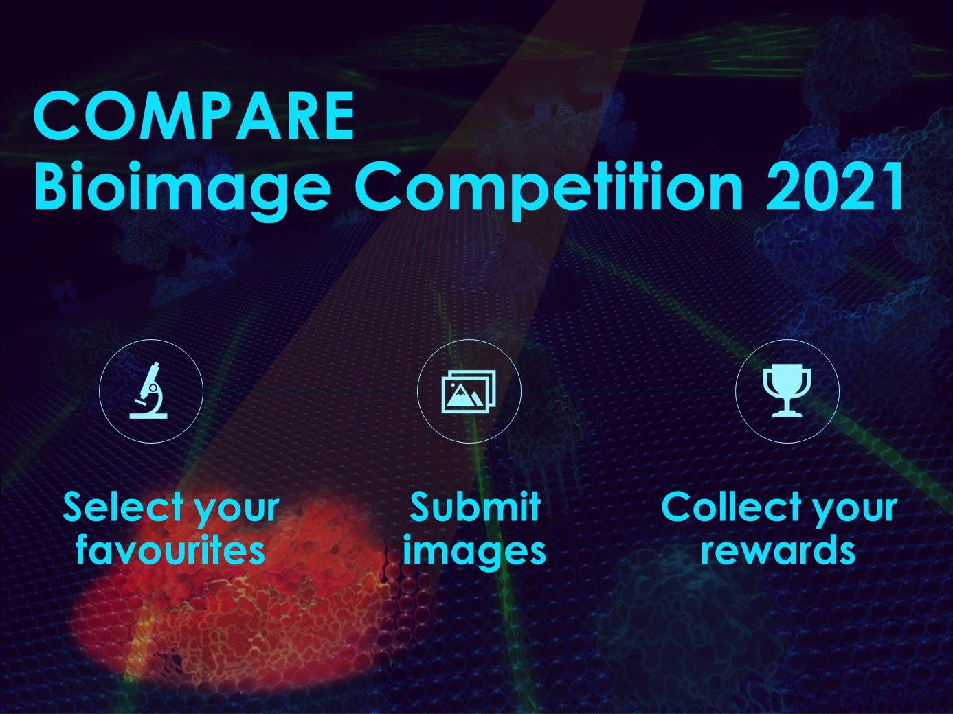 COMPARE BioImage Competition 2021