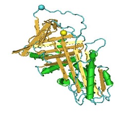 sapey - alpha 1 Molecule