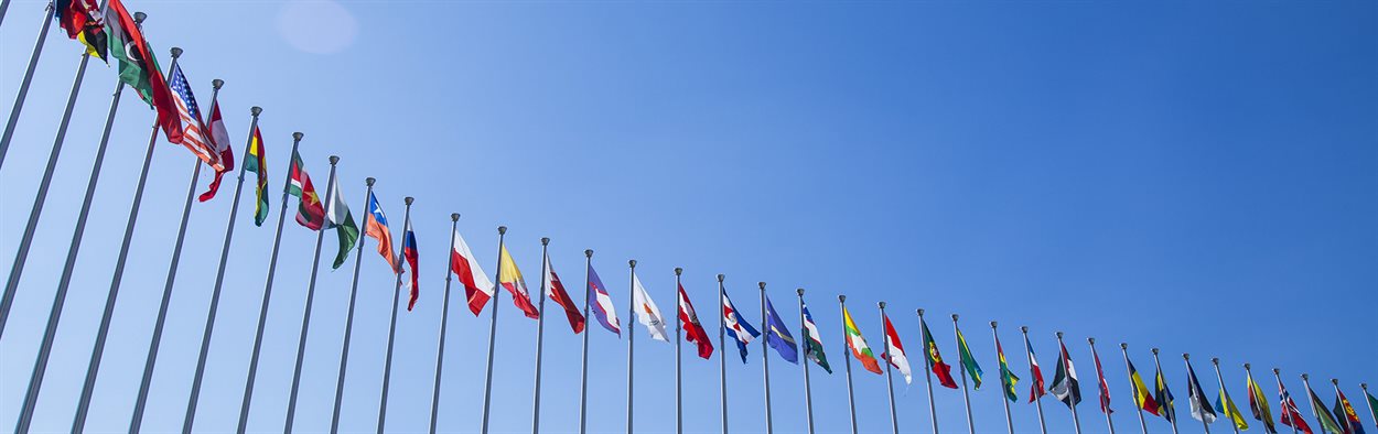 Flags of different countries outside on flag poles