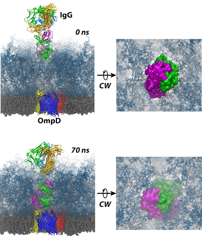 Cell results