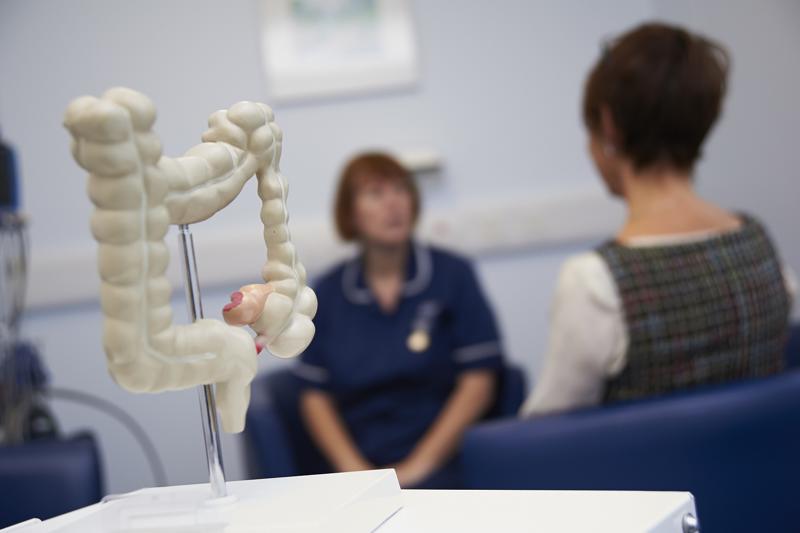 Model of a piece of the bowel in foreground, nurse talking to patient in background