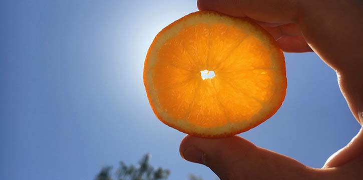 Orange slice being shown in the sun