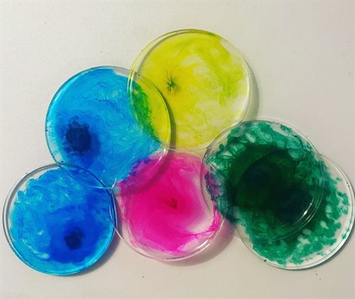 petri dishes with coloured dyes