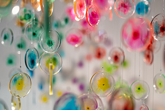 Colourful resin discs hanging from the ceiling.