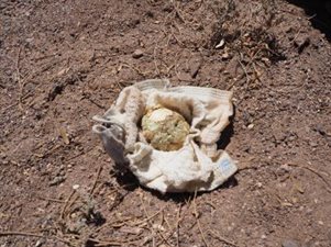 A damaged egg in cloth on the ground.
