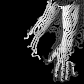 Digital image showing outline of hands with swirl pattern