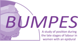 Bumpes trial logo