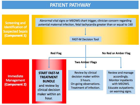 Patient pathway
