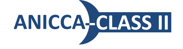 ANICCA Logo