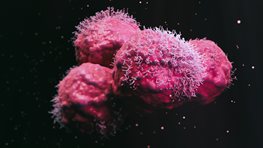 cancer-cells-October-2022-1