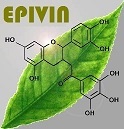 EPIVIN Logo