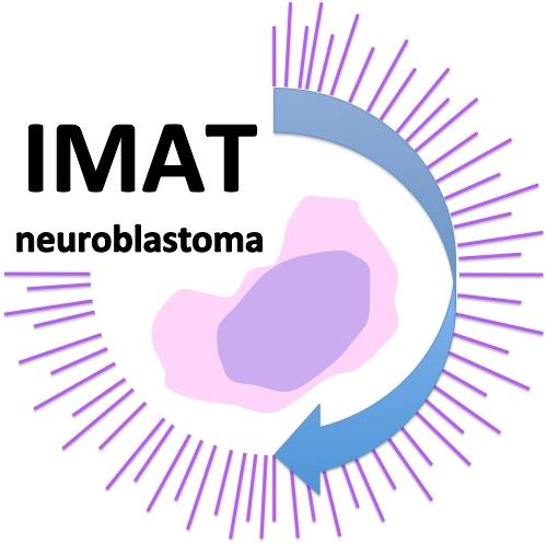 IMAT Logo Small