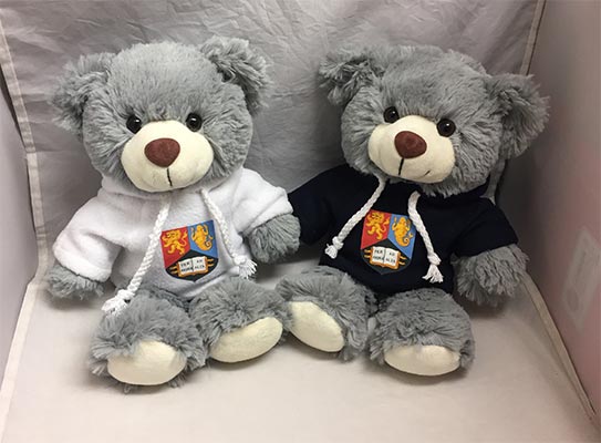 Two teddy bears wearing a university of birmingham hoodie