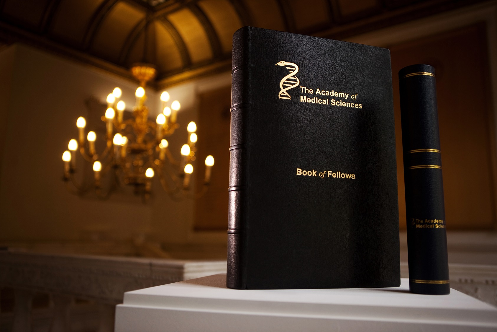 Academy of Medical Sciences 'Book of Fellows' standing on a table with chandelier in background. Credit Big T Images for Academy of Medical Sciences