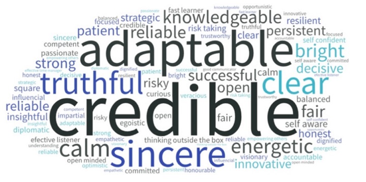Word cloud: CEO values