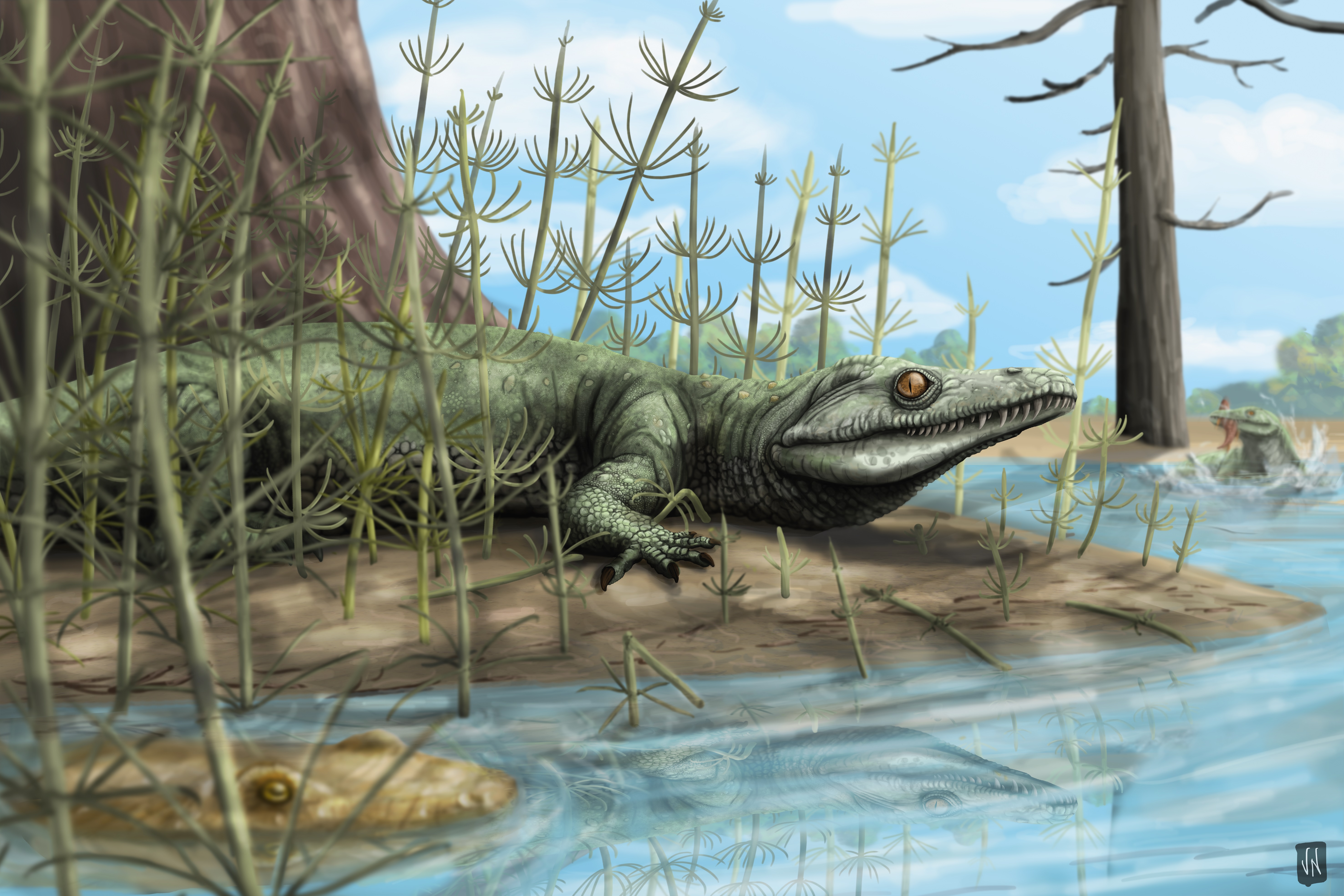 Пресмыкающиеся мезозойской эры. Рептилии мезозойской эры. Крокодилы мезозойской эры. Динозавры Триасового периода. Teyujagua paradoxa.