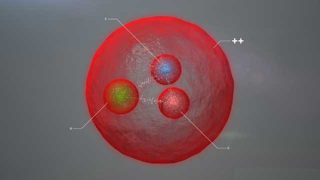 LHCb particle