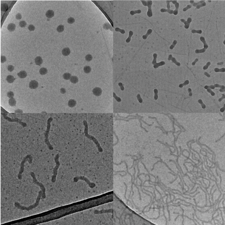Engineered nanoparticles under the microscope