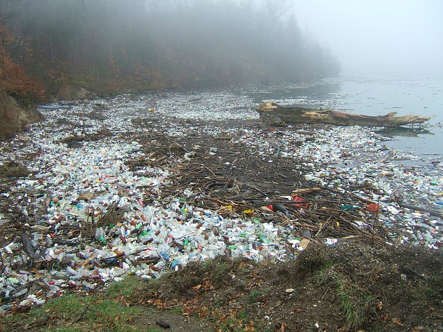 A shoreline cluttered with thousands of pieces of plastic and detritus