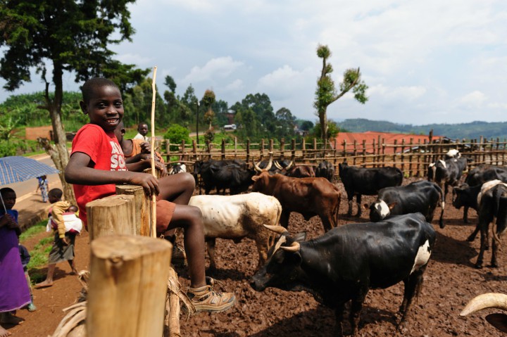 A farm in Rwanda