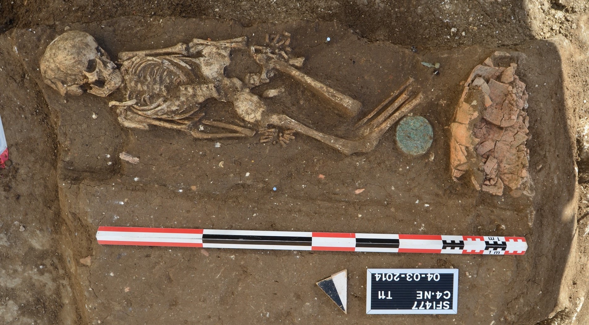 A 2,000-year-old individual sequenced in the study.