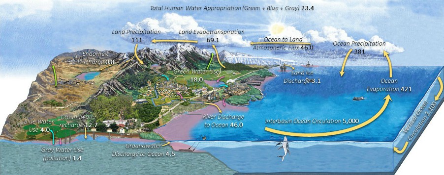 Water cycle diagram_900