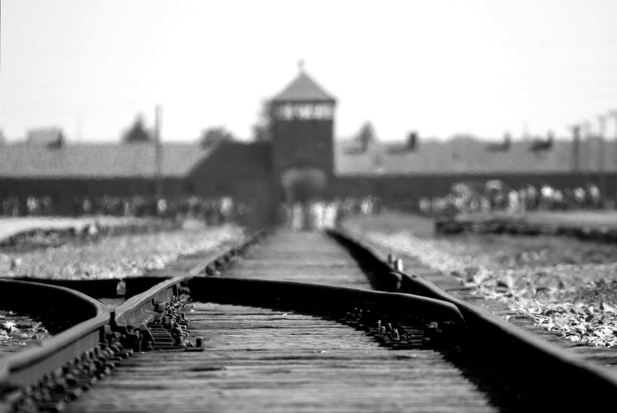 birkenau-900-min