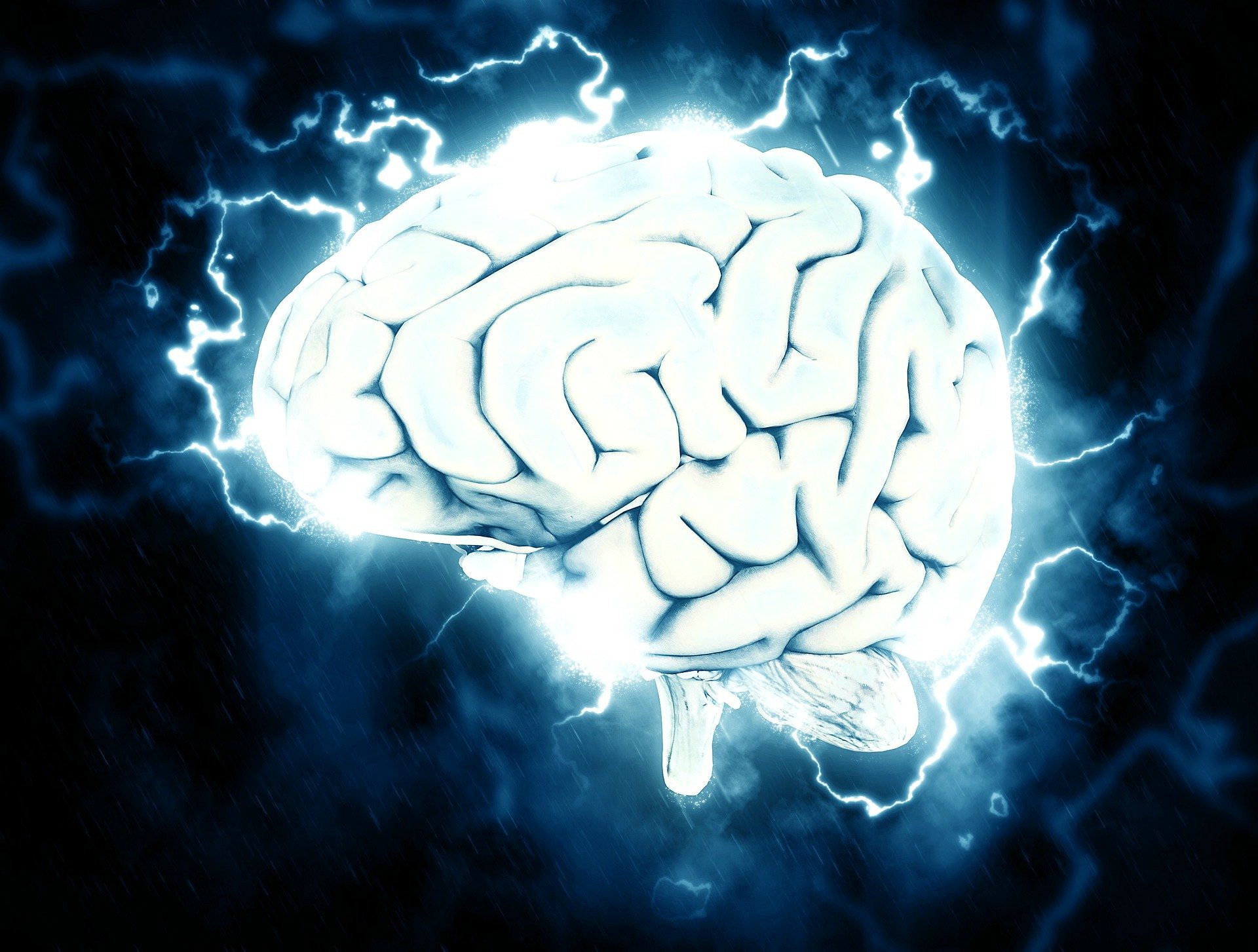 Digital image of electrical signals in the brain