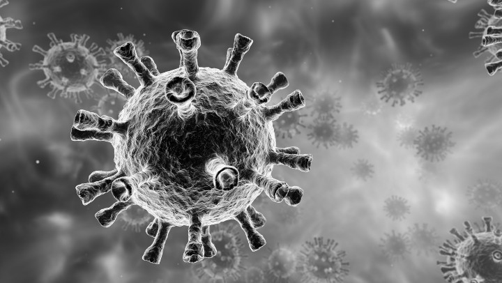 Black and white coronavirus image