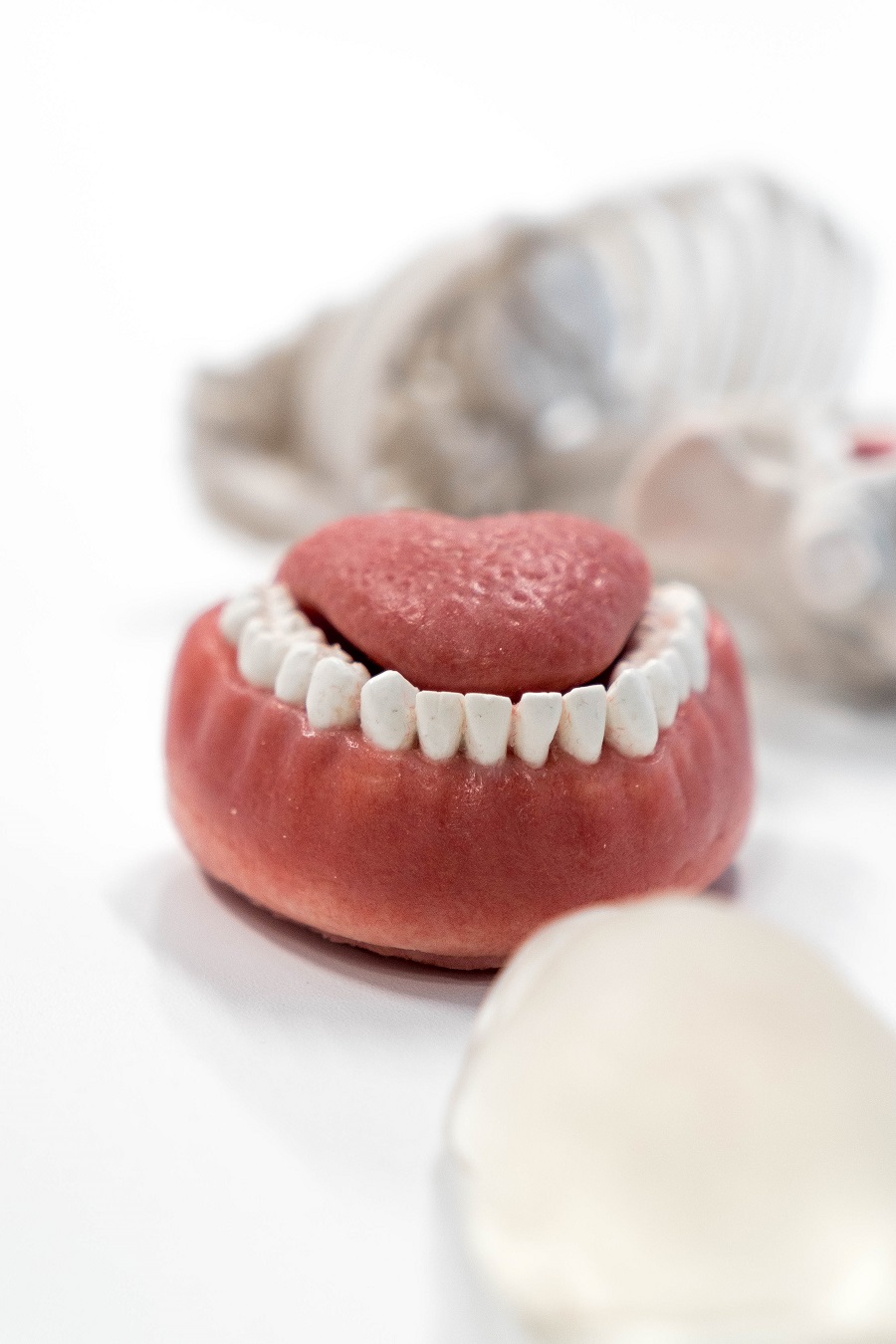dental model 900