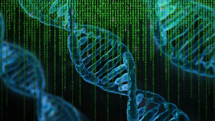 Digital representation of DNA