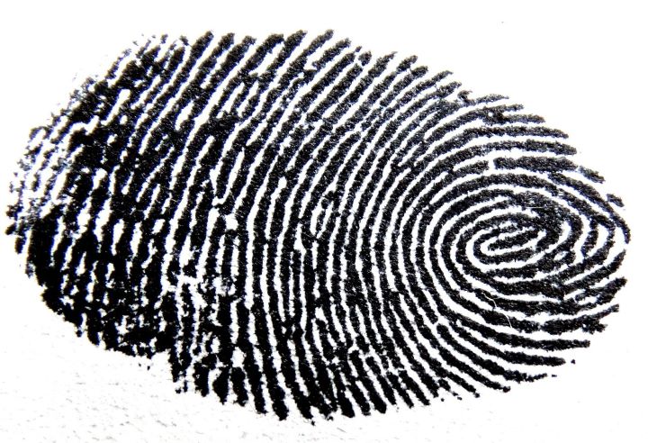 Extreme close-up of a black fingerprint on a white background.