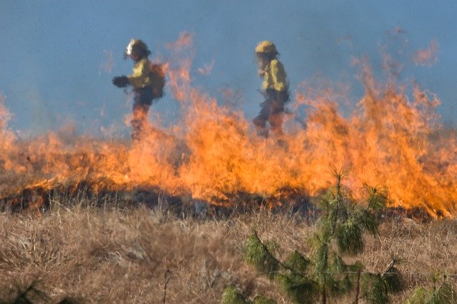 Fire fighters walk through bushfires