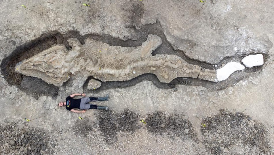 Aerial view of Dr Dean Lomax lying next to an ichthyosaur specimen, informally named the Rutland Sea-Dragon