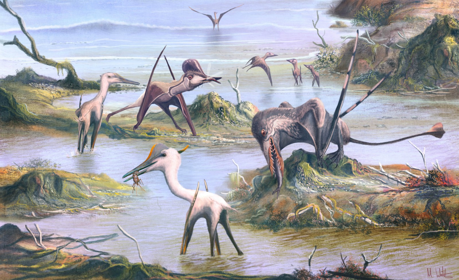 Pterosaur Ecology picture