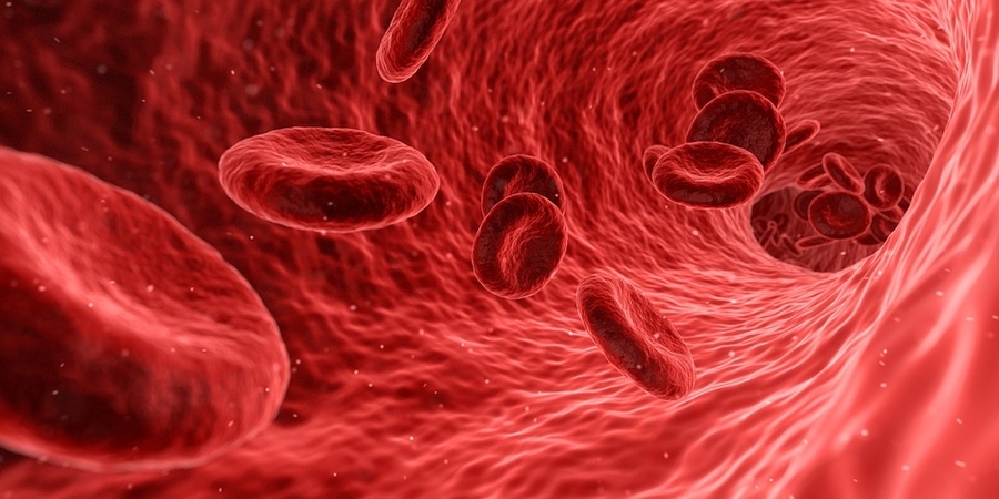 red-blood-cells-900px