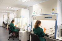 The Native Antigen Company Lab