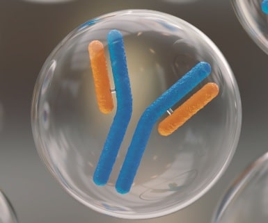 Computer generated illustration of an antibody molecule.