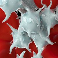 Research suggests a novel mechanism for platelet activation