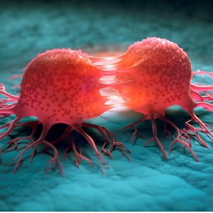 Tumour cells dividing