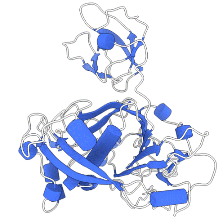 Pencil graphic of an enzyme