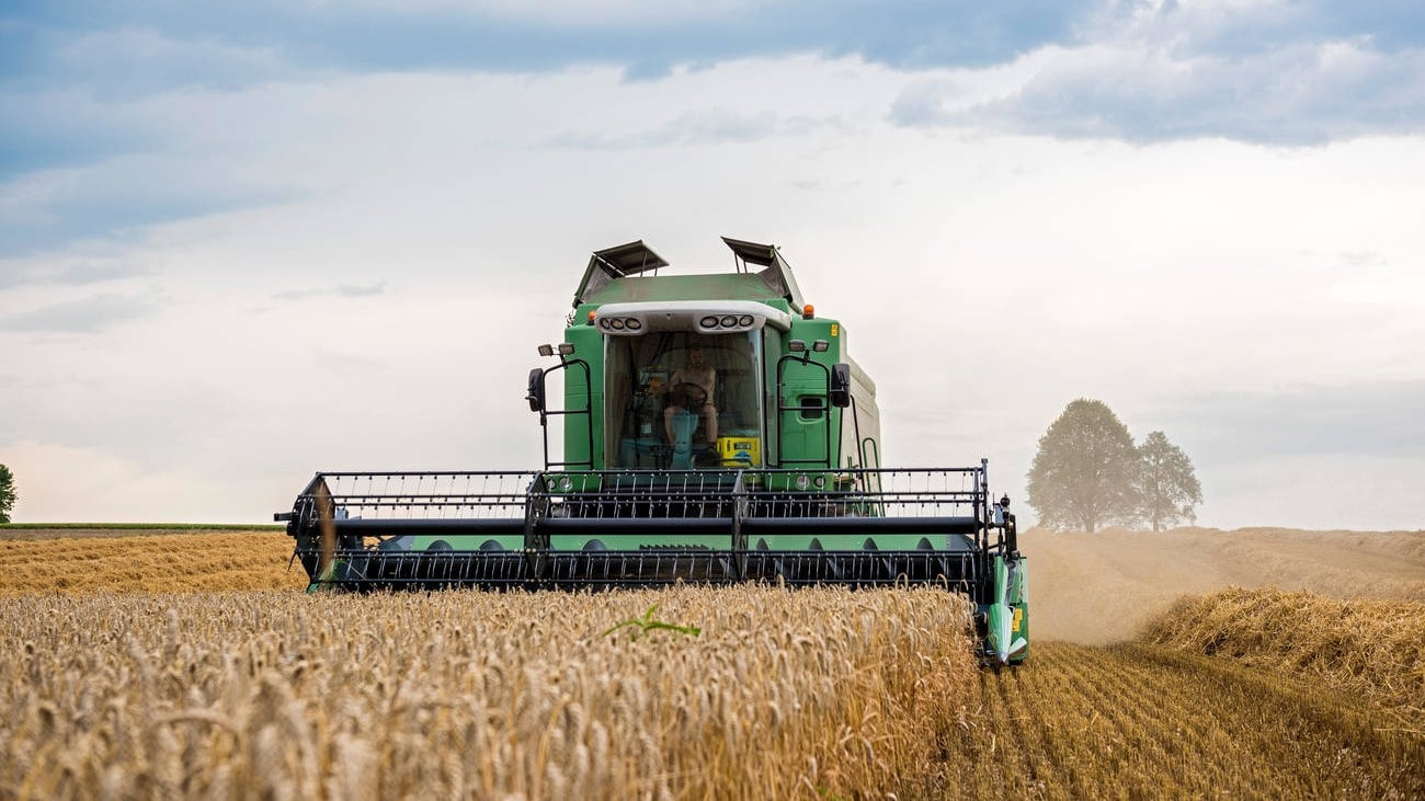 Combine Harvester - Wheat Crop, Bavaria Germany