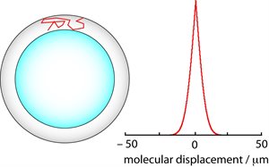 graphic illustrating Probing composition and molecular mobility in thin spherical films using nuclear magnetic resonance measurements of diffusion