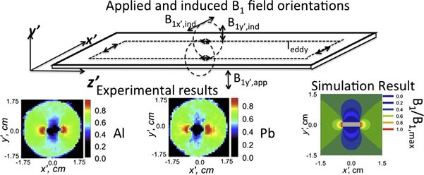 Graphic illustrating mapping B1-induced eddy current effects near metallic structures in MR images: A comparison of simulation and experiment