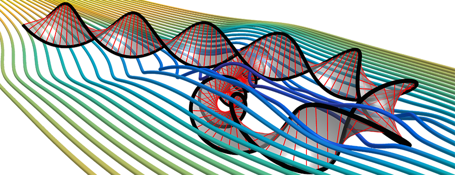 DNA streamlines visualisation